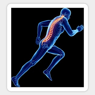 Illustration of a jogger's spine (F023/3728) Sticker